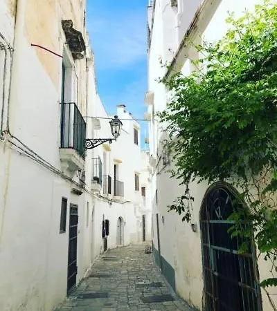 Mono Levante A 아파트